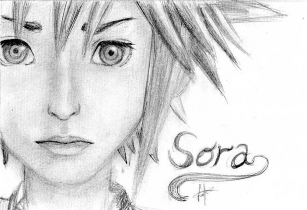 Sora *portrait*