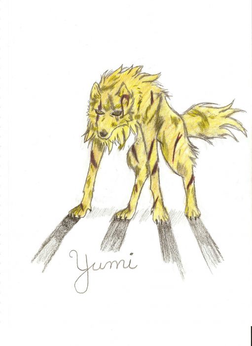 Yumi  As A Wolf