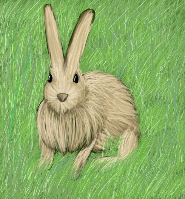 A very poor attempt at a realistic Bunneh