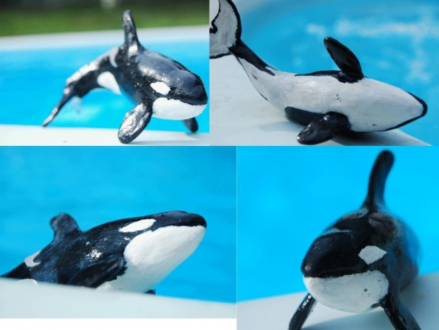 Orca Sculp