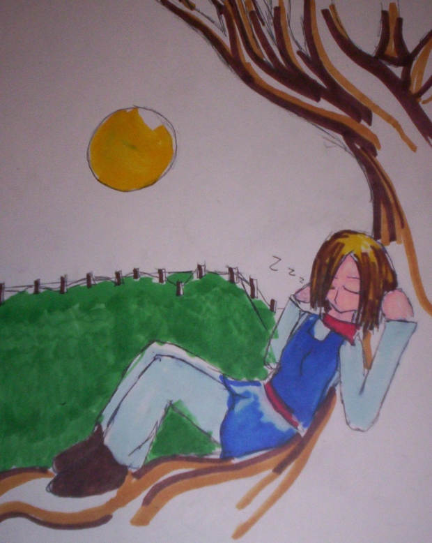 Harvest Moon Nap