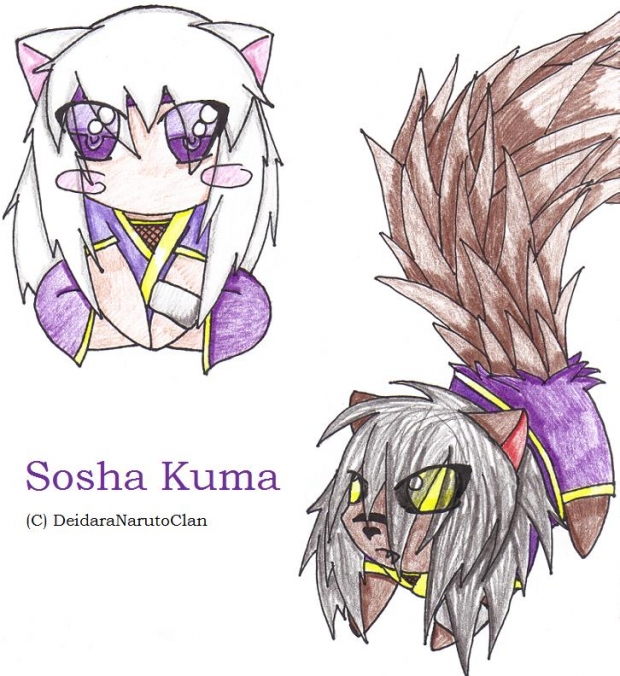 Sosha Kuma, Naruto OC