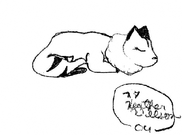 Sleeping Kirara