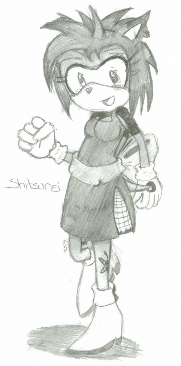 Sonic OC - Shitsurei