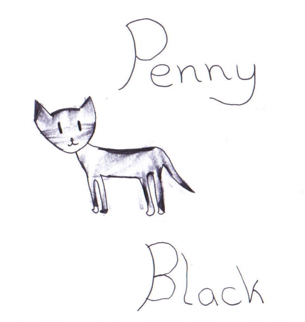 Penny Black the Kitten