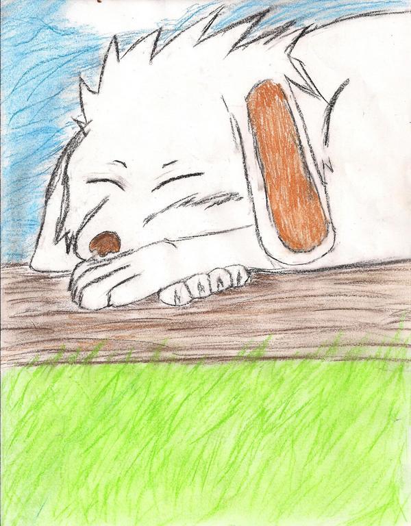 Sleeping Akamaru