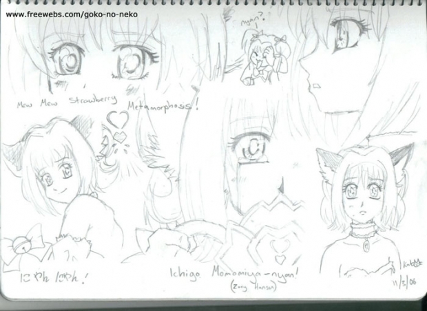 Sketches Of Ichigo Momomiya