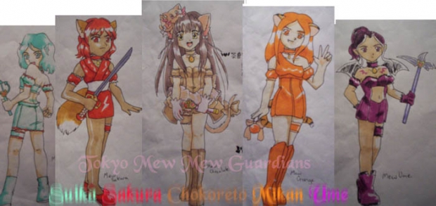 My Mew Mew Oc's