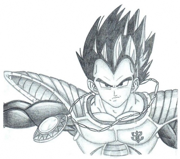 King Vegeta