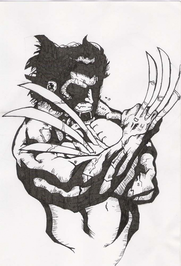 Wolverine