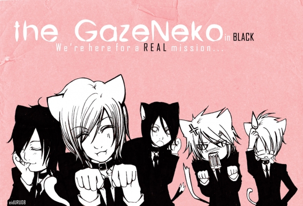 . the GazeNeko .