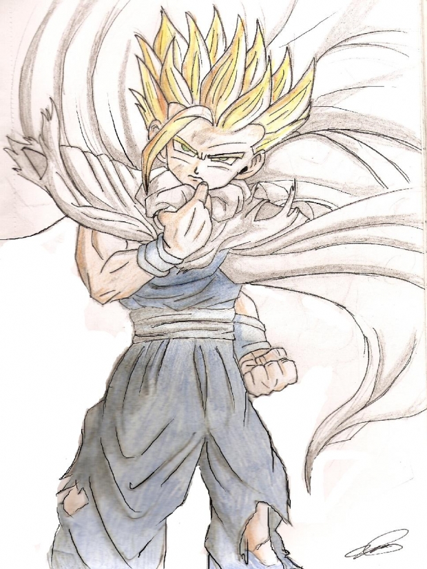 gohan