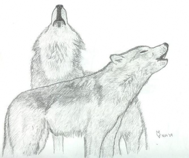 Wolves