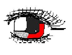 EYE