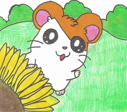 Hamtaro ^_^