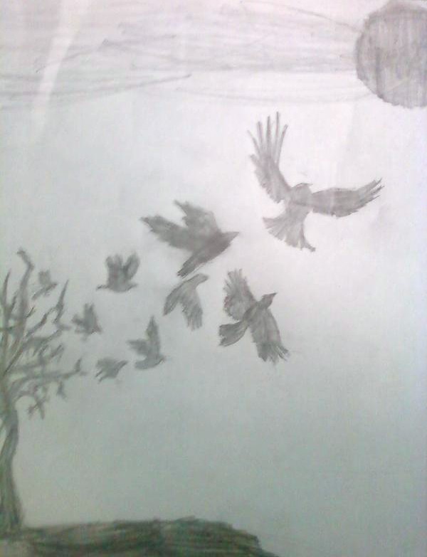 Crows pic # 1