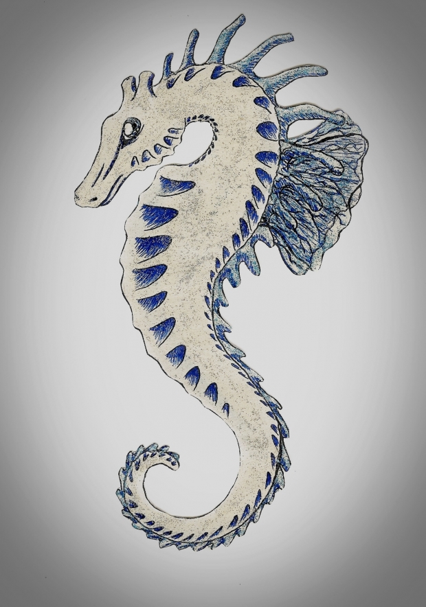 Sea Horse