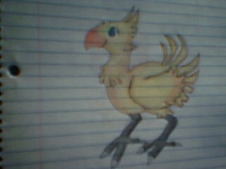 Chocobo!