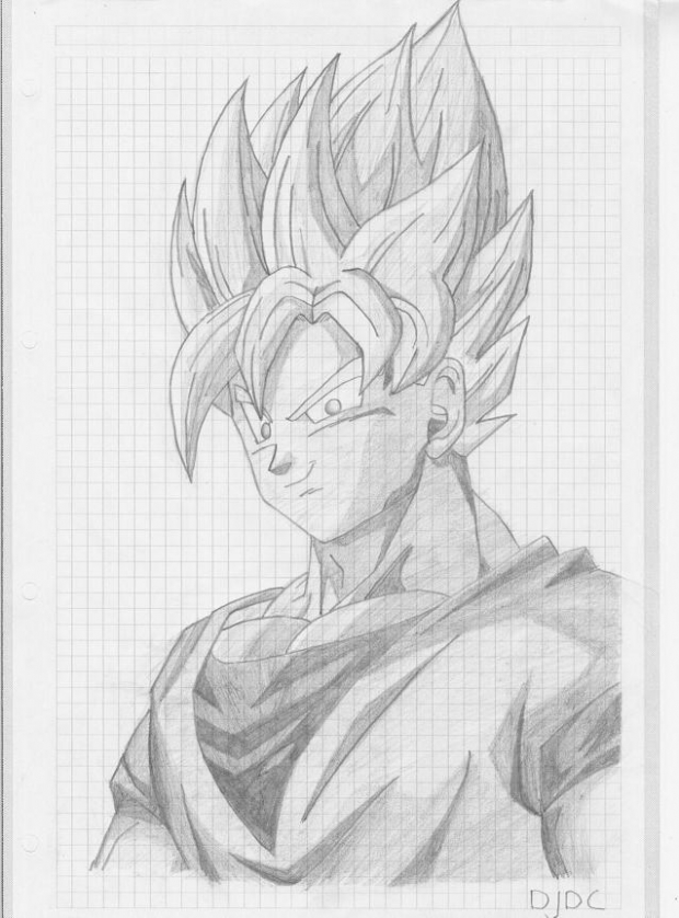 Goku ^^