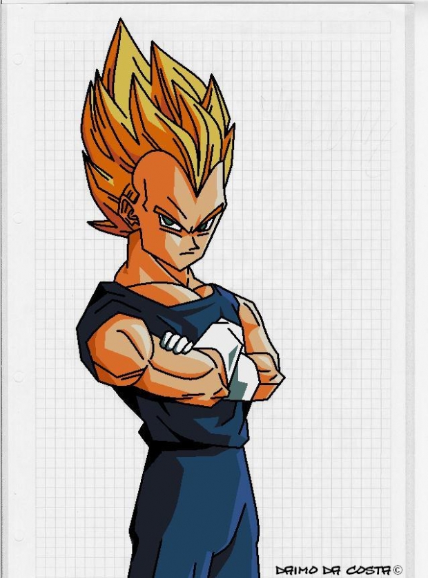 Vegeta Color