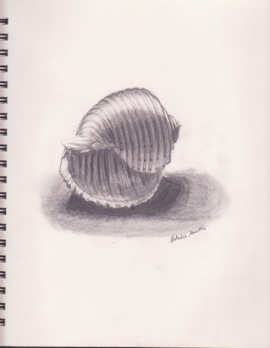 Shell