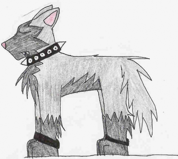 Spiffy Poochyena