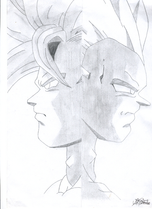 Goku & Vegeta