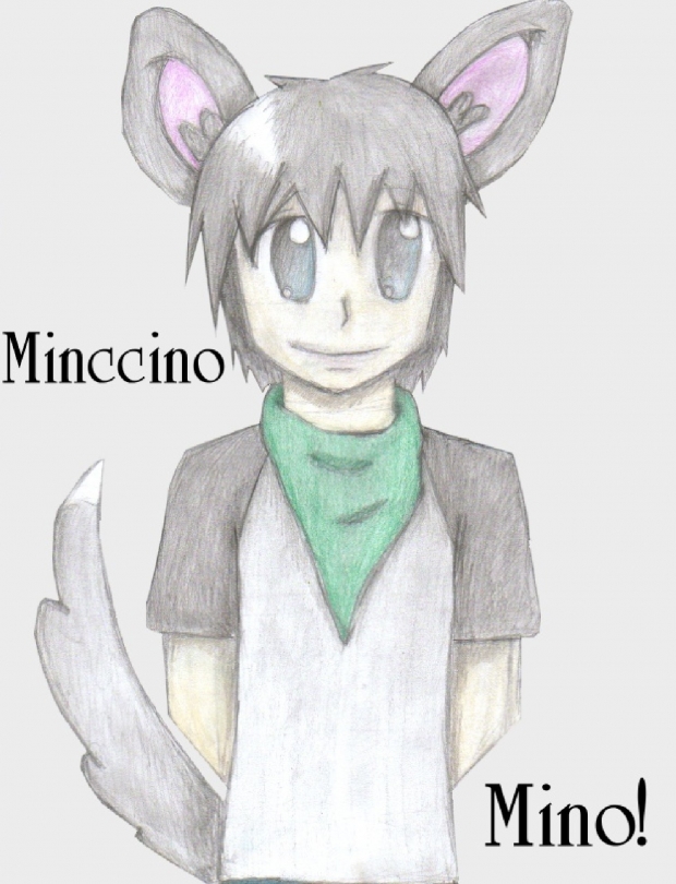 Mino the Minccino