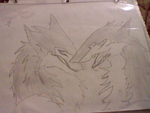 Sergals