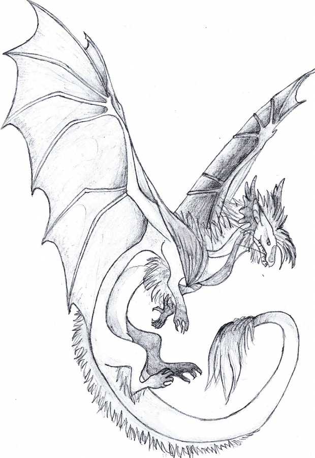 My Dragon:)