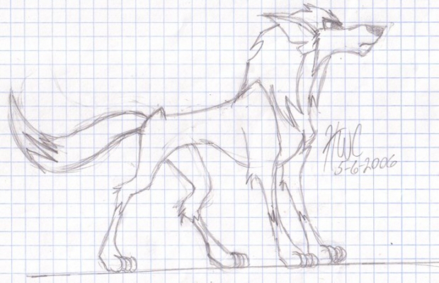 Wolf From Silverwing