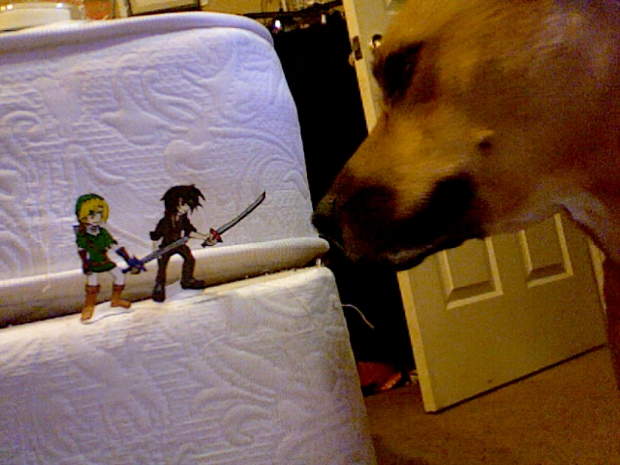 Link and Zuzu vs The Dog