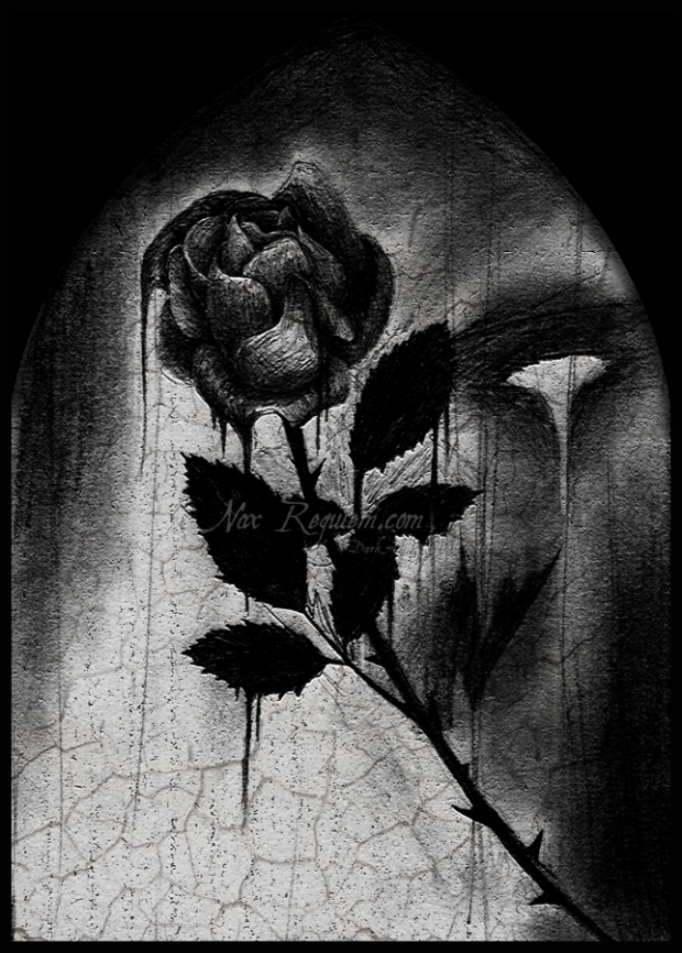 Blackest Rose