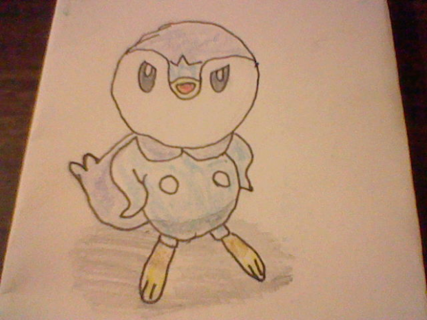 piplup