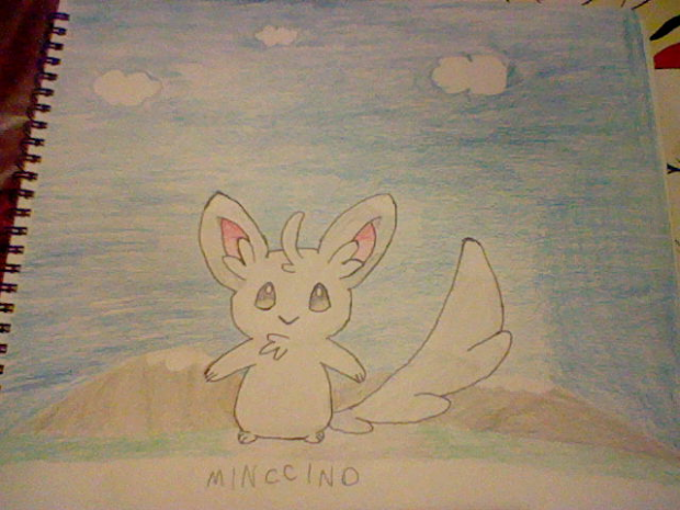 minccino