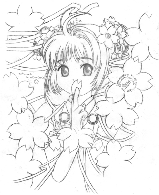 Sakura Flowers