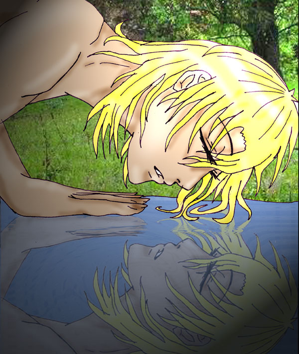 Narcissus