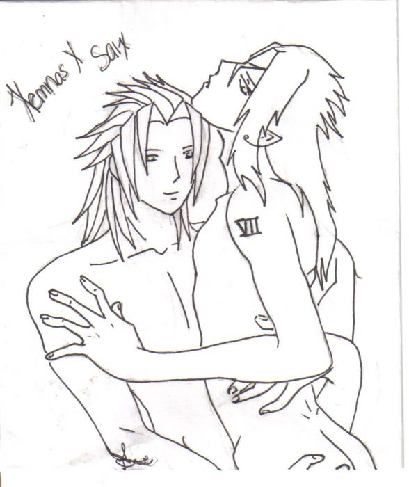 Xemnas X Saix Love