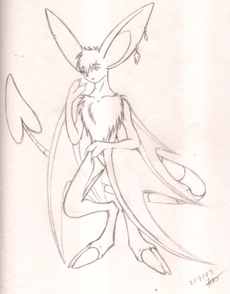 Korbat Anthro