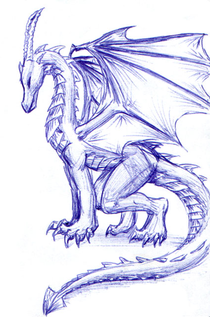 Dragon Sketch