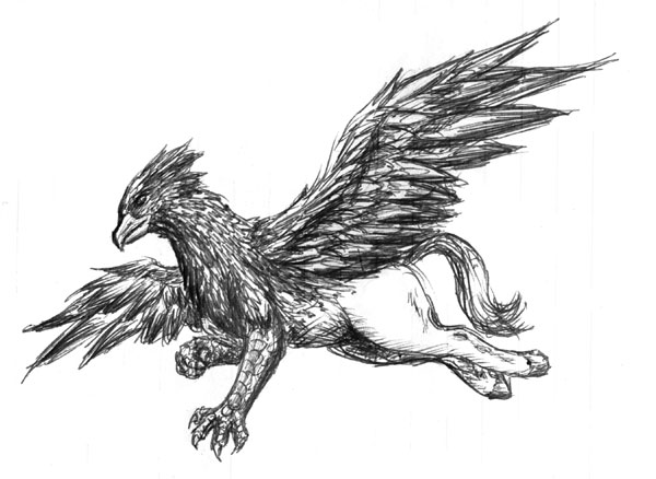 Hippogriff by Ciarra