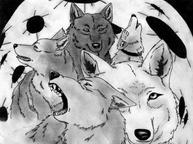 Wolf's Rain Collage