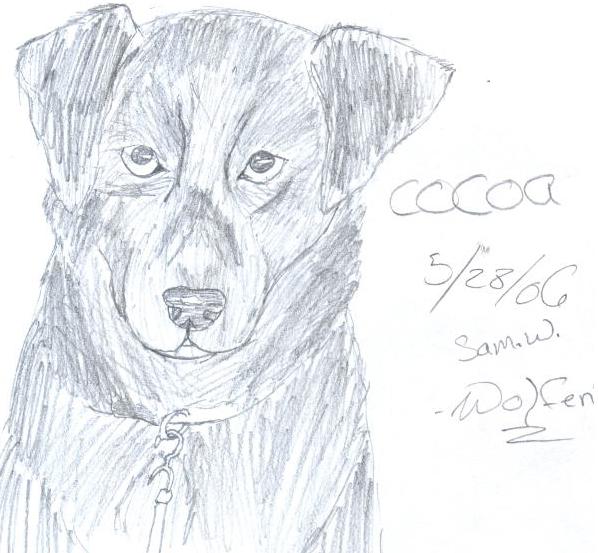 Cocoa