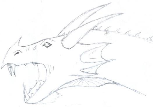 Dragon Sketch