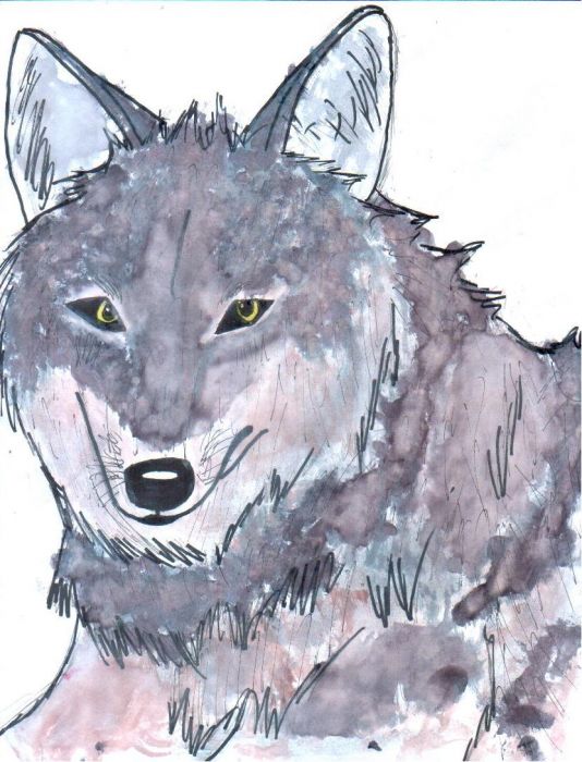 Realism Wolf