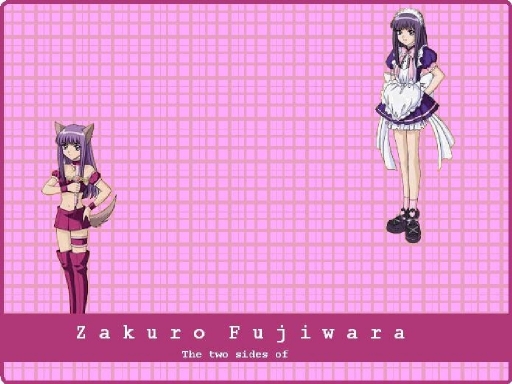 Two Sides Of Zakuro