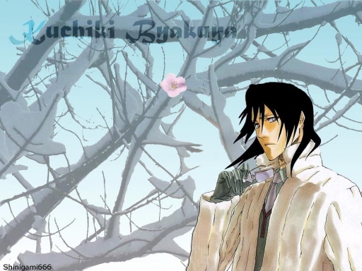 Byakuya (winter)