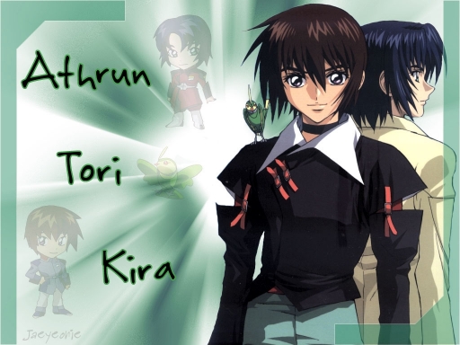 Athrun, Kira And Tori