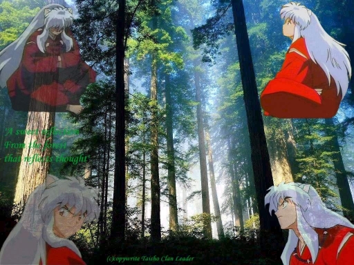 Inuyasha in forest of thought.