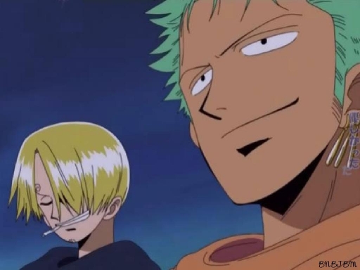 Sanji And Zoro